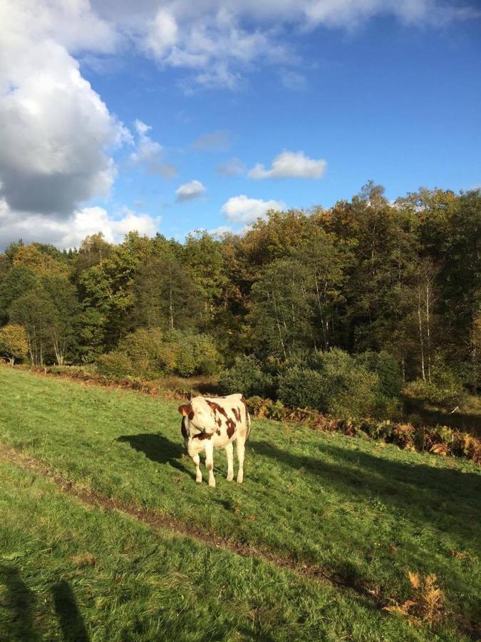 Home Sweet Home Ardennais Вэм Экстерьер фото